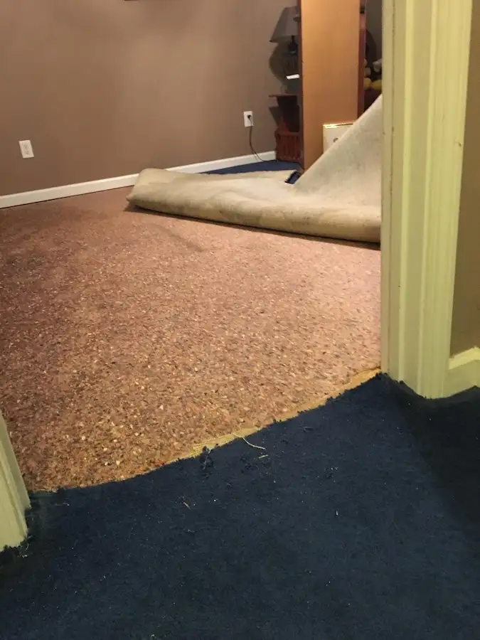 Carpet pad removal revealing water damage during Water Mitigation Services in Zephyrhills