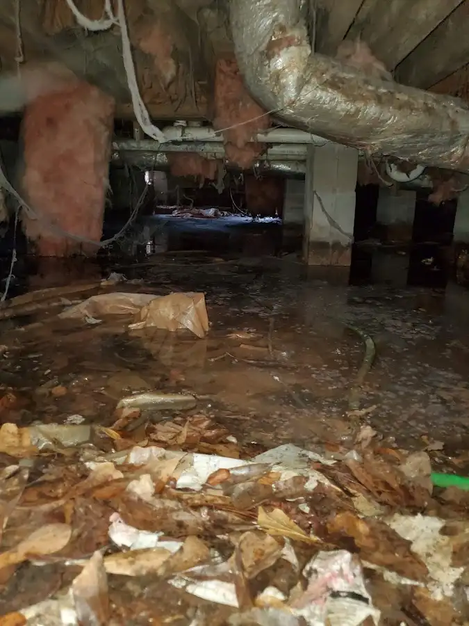 Crawl space flood assessment for Leak Detection & Repair in Zephyrhills