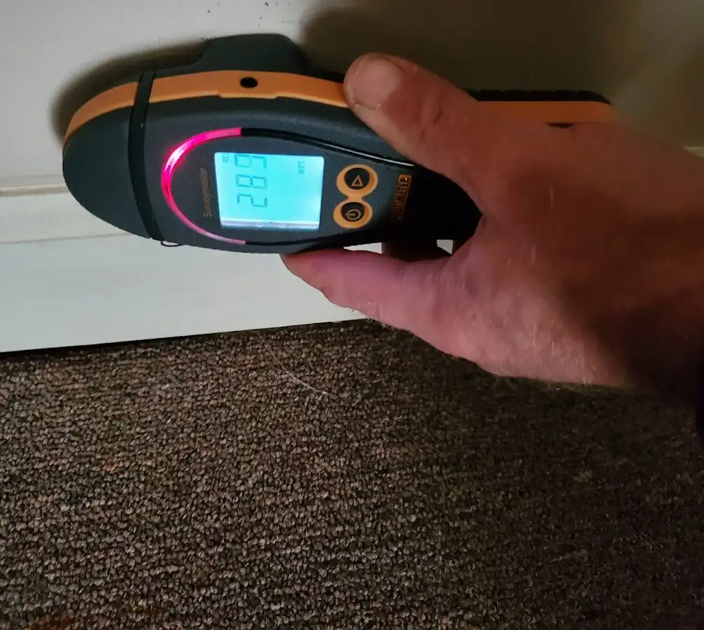 Moisture detection at baseboard during Mold Inspection & Testing in Zephyrhills