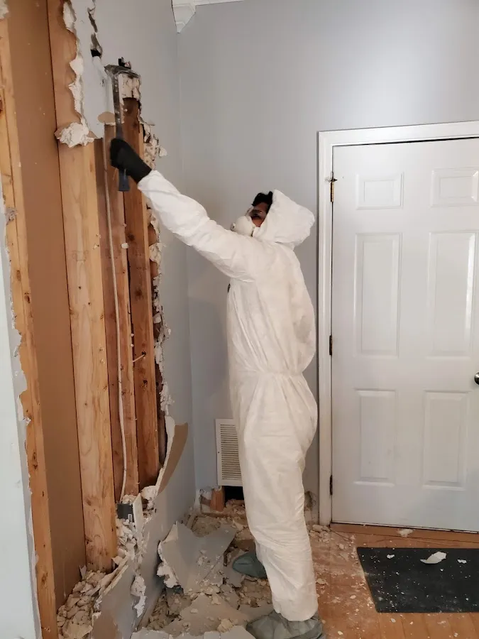 Odor Removal & Deodorization in Zephyrhills, FL