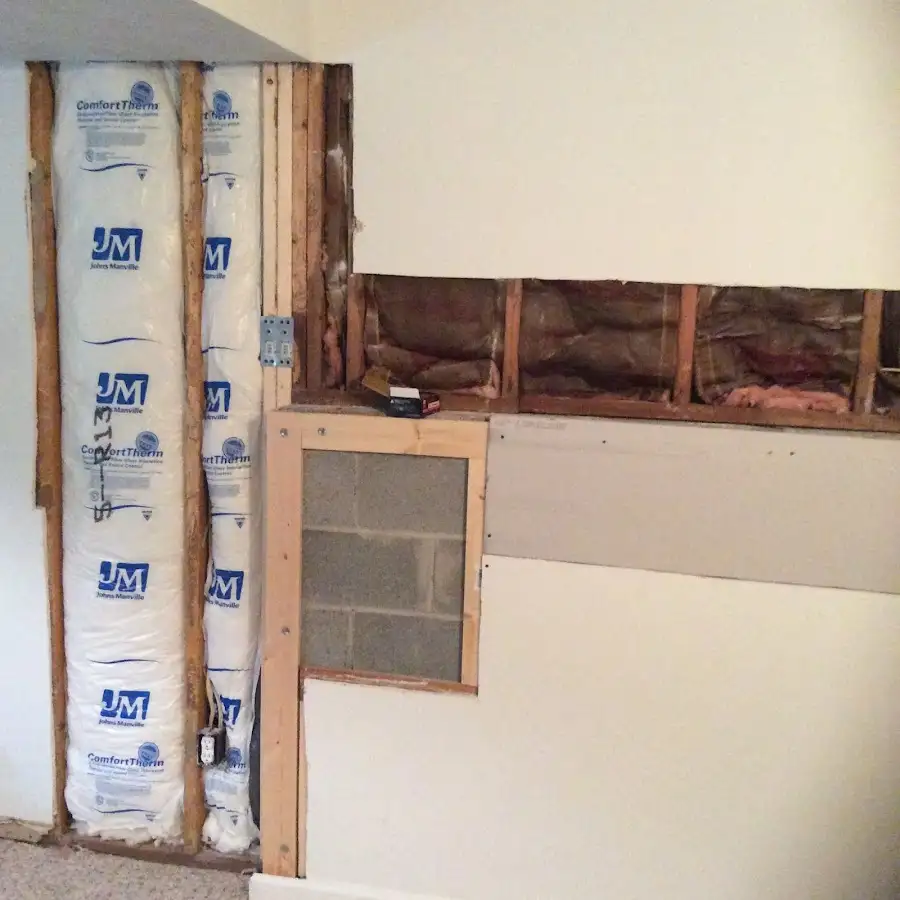 Wall insulation replacement during Odor Removal & Deodorization in Zephyrhills